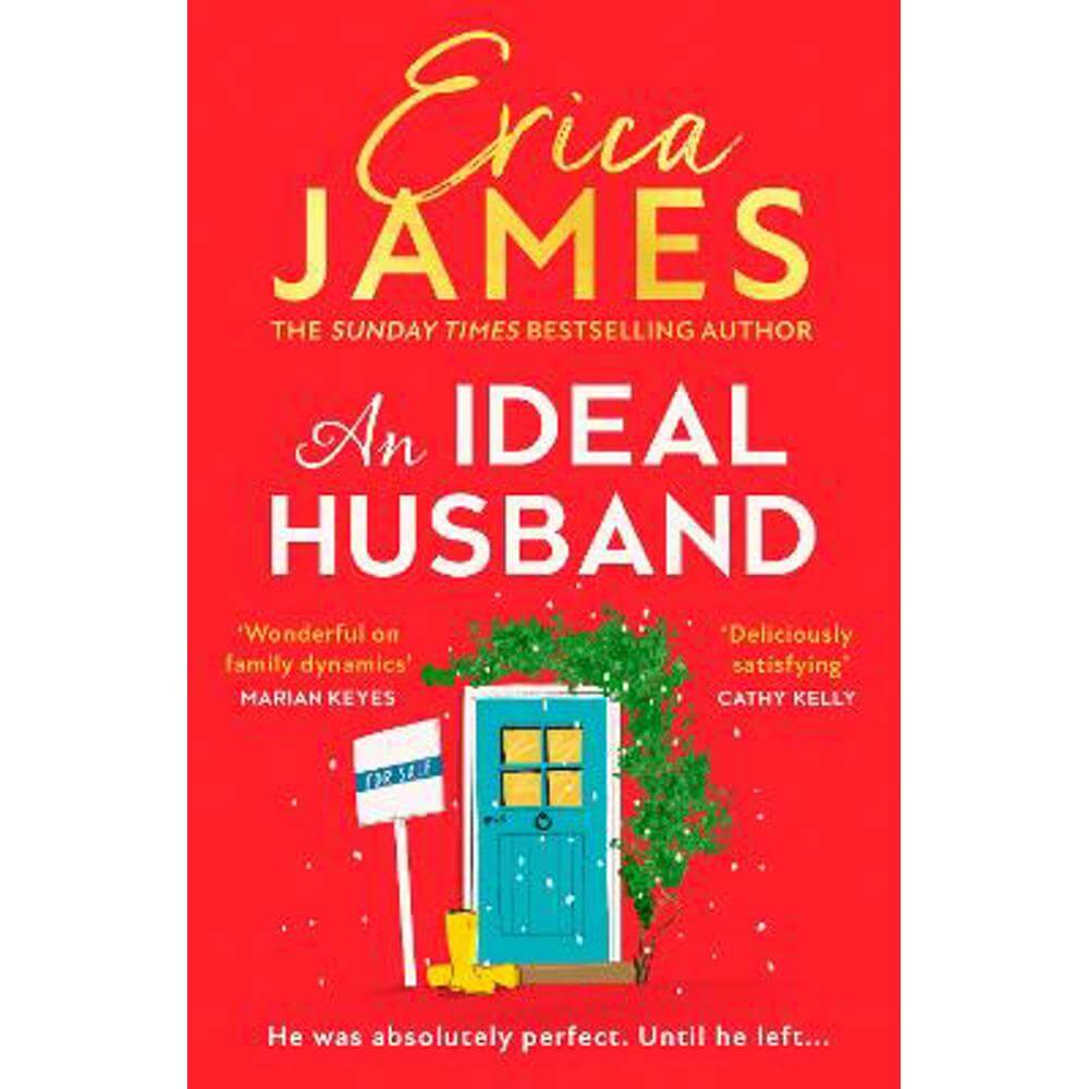 An Ideal Husband (Paperback) - Erica James